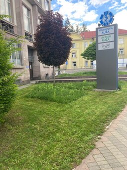 KOSENIE, MULČOVANIE,OREZ STROMOV A KRÍKOV - 12