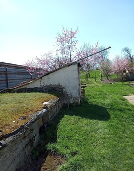 Na predaj rodinný dom Zemianske Sady okr. Galanta - 12