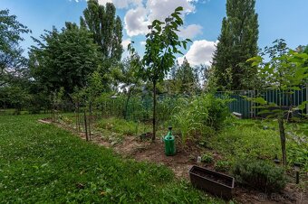 Záhrada v širšom centre mesta v Košiciach na ul. Popradská - 12