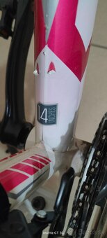 Predám detský horský bicykel Willy 1.0 (24 palcov) - 12