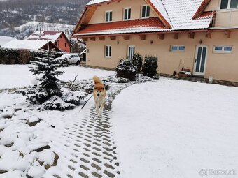 Ubytovanie ORAVA pre turistov, chata Habovka - 12