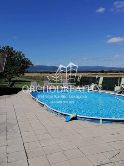 Pozemok so záhradou a ovocným sadou - Nižný Hrušov - 12