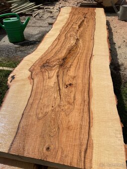 JASEŇOVÉ REZIVO OLIVE ASH / Očkové drevo / Live edge - 12