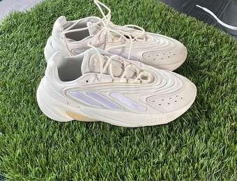 Adidas, Nike,New Balance,Converse 40(25cm) - 12