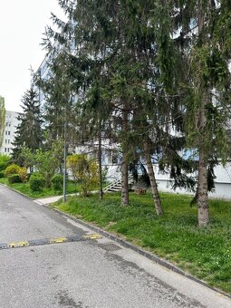 Ružinov, 2i. byt, najvyššie poschodie, tiché prostredie - 12
