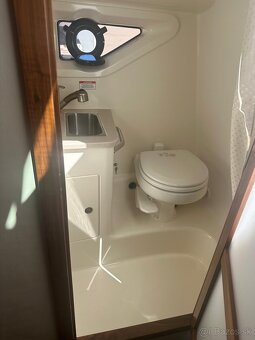 SEA RAY 265 Sundancer + MERCRUISER 3.0l TDI 260 DTS - 12