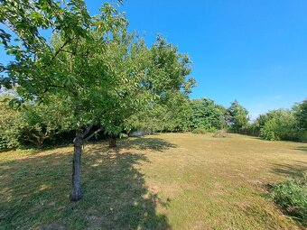 Predáme rodinný dom, pozemok 2.167 m2, Vráble - Dyčka, okr.  - 12