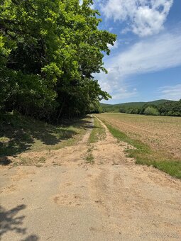 Hatfa - bývale kúpele v obci Viničky - 12