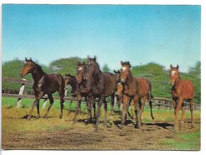 3D pohľadnice (61-80 ), čisté v top stave, 1 ks za 1 € - 12