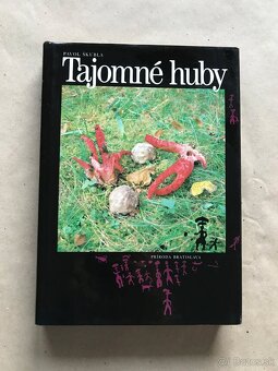 Jóga, Huby, Včelia materská kašička, Queen, Veľká kniha o - 12
