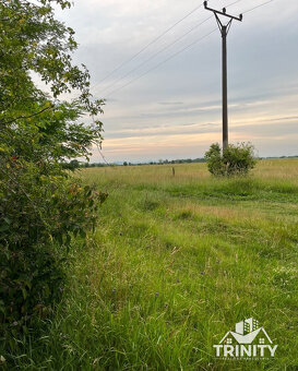 Na predaj pozemky s chatkou medzi mestom Šurany a Palárikovo - 12