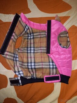 Bunda pre psa - 12