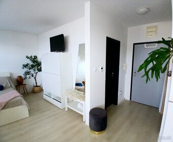 Jednoizbový byt volny od 1.8. - 12
