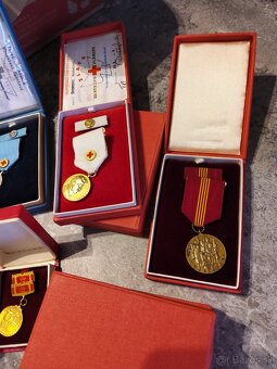 Medaila,plaketa - 12