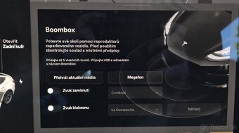 Tesla model 3 LR 2021 - 12
