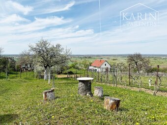 Vinohrad. domček po rekonštrukcii s vinohradom, za Líštinami - 12
