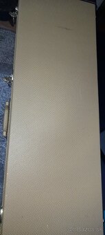 Gitary orig.Dusenberg,Ibanez - 12