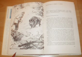 Lovy v Karpatech - 12