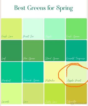 Primark nohavice xxs - 12