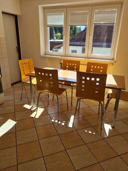 Zaujímavá väčšia nehnuteľnosť na bývanie, podnikanie,... - 12