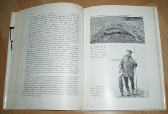 Hlavátka - 12