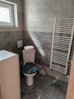 Prenajom rodinneho domu v Nitrianskom pravne - 12