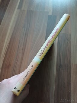 Varíme proti rakovine, Pikantná kuchyňa Tex-Mex - 12