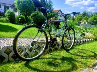 Bike - 12