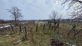 HALO reality - Predaj, záhradná chata Farná - ZNÍŽENÁ CENA - - 12