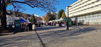 Na predaj Penzión, vlastné parkovanie, sauna, yakuza, Trenči - 12