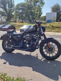Harley Davidson Sportster Iron 883 - 12