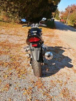 Suzuki GSF 650 Bandit - 12