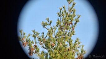 Ďalekohľad BPC 15X50 SOTEM - 12