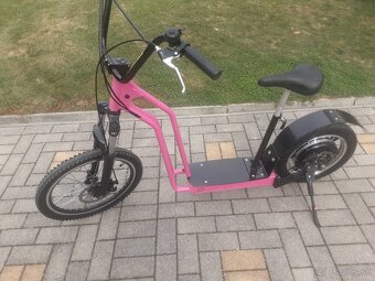 Elektrobicykel +prerobenie na elektro - 12