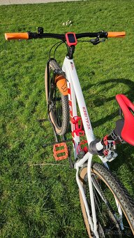 TREK XCALIBER 8 - 12