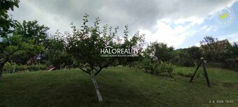 HALO reality - Predaj, rekreačný pozemok Krupina, Stará hora - 12