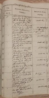 Predám Politisches Einreichungs-Protocoll - 12