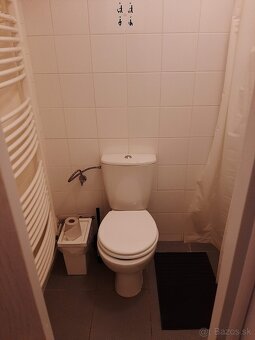 prenájmem byt 1 izba + kuchyňa, WC, kúpelna - 12
