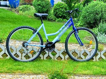 Bicykel Engine - 12
