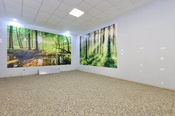 Na prenájom – štýlový priestor v Michalovciach | 222 m² | - 12