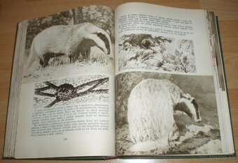 Poľovníctvo v obrazoch - 12