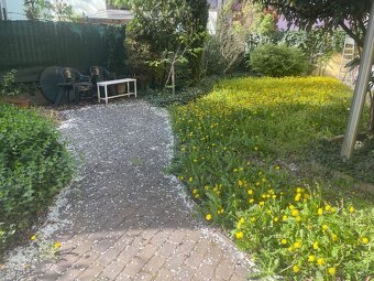 NA PRENÁJOM kancelárie v RD, samostatný byt a vínna pivnic - 12