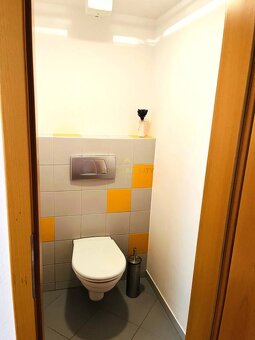 Prenájom pekný 3 izbový byt, Palkovičova ulica, Bratislava I - 12