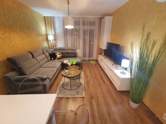 Luxury Golden Apartment  na prenájom Košice staré mesto- Mly - 12