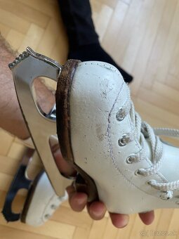 Wifa - korčule - 12