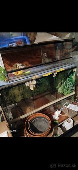 Voľne TERÁRIA - 12