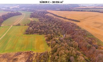 Rokycany – 233.000 m2 LESNÉ POZEMKY v podiele 1/1 - 12