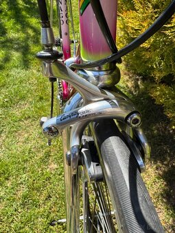 Colnago Tecnos Art Decor - 12