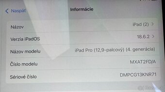 iPad Pro 12,9″ (4. gen.) · A12Z Bionic · 256 GB · Wi-Fi - 12