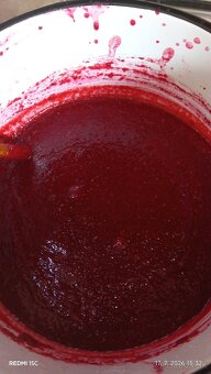 Chilli - 12